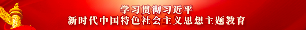学习贯彻习近平新时代中国特色社会主义思想主题教育